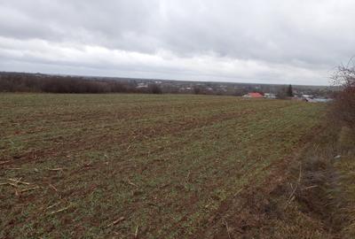 Teren agricol, 1HA, Marsa, Giurgiu - 3