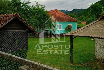 Casa batraneasca de vanzare, 4 camere, in Hunedoara, sat Micanesti - 13