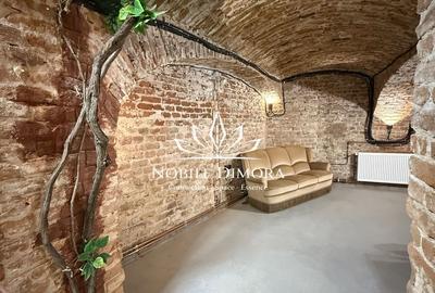 SAD - Spatiu comercial central de 160mp in Arad - ideal: crama, cafenea, magazin - 13