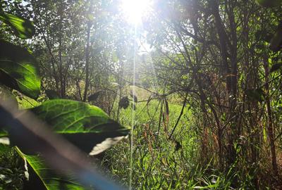 Exclusivitate! Casa în Zona Dâmbul Rotund, 3046mp teren. - 3