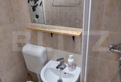 Garsoniera de vanzare in Gruia -ideala pentru investitie - 6