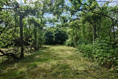 Casa, anexe si teren amplasate central in municipiul Brad - 10