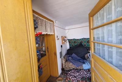 Teren mare cu 2 case in Sabolciu, com. Sacadat - 11