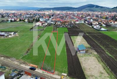 Teren agricol la cel mai mic preț - str. George Coșbuc din Sânpetru - 2