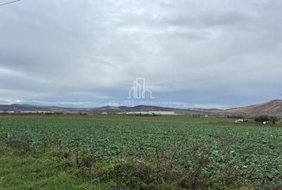 Teren 10 000 Mp Deschidere E60, Zona Aeroport/Autostrada, Ungheni - 3