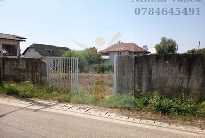 TEREN INTRAVILAN ANINOASA-DAMBOVITA - 1