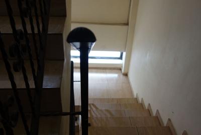 Liberty Mall-Nasaud P+2E+TERASA - 7