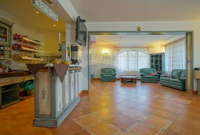 Complex Turistic Panicel, DN73A - 44