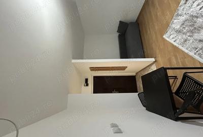 Teiul Doamnei vanzare garsoniera cf 2 Luntrei - 1