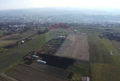 Teren 19.375 mp Dâmbu Rotund. Potențial rezidențial. Extravilan - 2