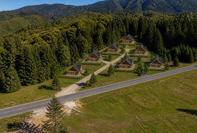 Teren premium pentru dezvoltare de lux – Drumul Poienii, Brasov - 2