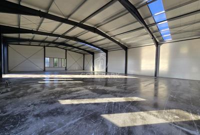 Spatiu Industrial - Gilau - Constructie Noua - 4