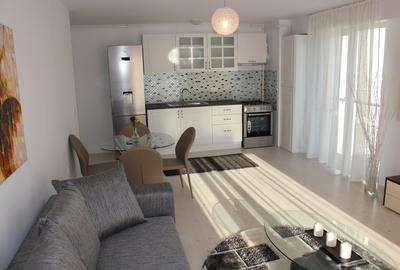 Apartament 2 camere zona Otopeni (Aeroport) bloc NOU, Mobilata-Utilata MODERN - 7