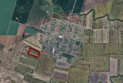 Teren 500mp Covaci / Drumul nou - 3