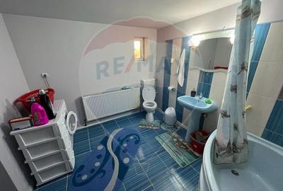 Casă  RENOVATA - Grebanu - 11