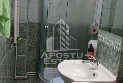 Apartament 2 camere, de inchiriat, Girocului, Timisoara - 8