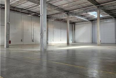 Spatiu Industrial - 4300 mp - Logistica - Productie - Depozitare - Distributie - 2