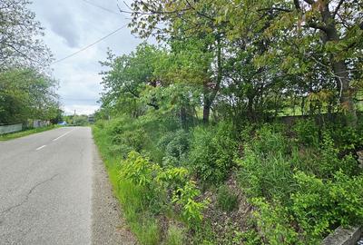 Teren 5,350mp Dobreni / Strada Manastirea Horaita - 22