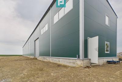 Hală nouă 563mp în zona industrială Sânandrei - 12