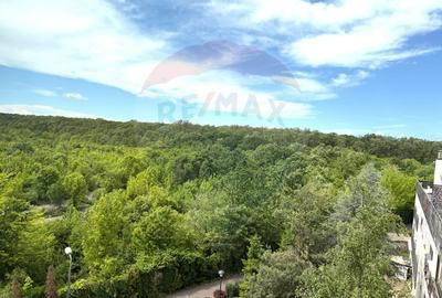 INCHIRIERE Apartament 3 camere Baneasa/Natura Residence - 39