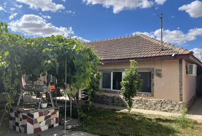 Sacele, Jud Constanta. Oportunitate! Casa la sol, 4 camere si dependinte,livada! - 1