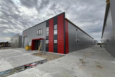 Vanzare depozit/hala/spatiu industrial Chiajna - Chitila - Rudeni - 1