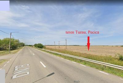 122 ari in Turnu, front 60 m la DN 7B, 15 km de Arad, 1 km de vama - 7