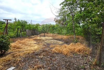 Casă / Vilă cu 6 camere de vânzare în zona Mihai Viteazu - 12