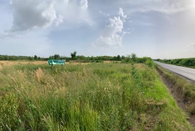 TEREN DUMBRAVEI Loturi a cate 635mp+ cota drum! - 1