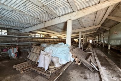 Hala industrială de vânzare în Beclean, Bistrița-Năsăud – 770 mp teren + cons - 2