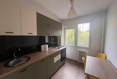 Inchiriere apartament 2 camere Salajan - 5