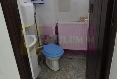 Casa de vanzare cu 5 camere în Mislea - 14