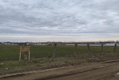 Teren de vanzare pentru case/ parcele- Caracal, str. Artarului - 4