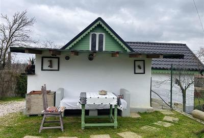 Casa de vanzare in Nufaru - 31