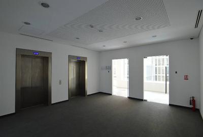 Swan Office Park cladirea Henley, Nord, 245 - 484 mp  0% comision! - 11