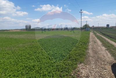 Teren 5460mp Brasov-Stupini / Strada Plaiului - 5