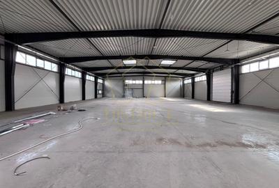 Spațiu industrial, 1308 mp în Sânandrei