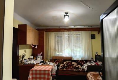 De Vânzare Casă Culciu Mare Satu Mare - 8