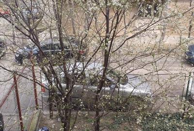 9 camere, direct proprietar, Bd. Ferdinand, metrou Iancului - 12