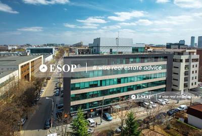 Birou, 5900 mp în Băneasa