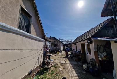 Teren mare cu 2 case in Sabolciu, com. Sacadat - 18