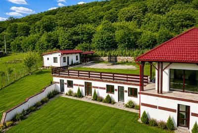 Proprietate premium cu SPA,sauna,casa oaspeti,teren 1.348 mp,acces padure, Sfant - 22