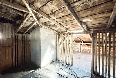 VILA INTERBELICA IN CURS DE RENOVARE COMPUSA DIN DOUA APARTAMENTE - PARCUL CAROL - 12
