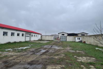 Oportunitate Unica: Teren Intravilan cu Hală de productie și Casă Modernă - 17
