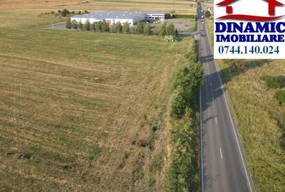 17000 mp intravilan, Piatra-Neamt, 50 Eur/mp - 3