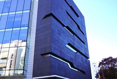 Birou, 301 mp în Aviatorilor