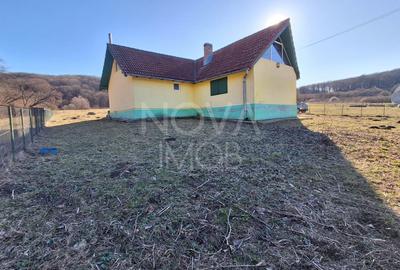 Ferma complet echipata de vanzare – zona Agnita, judetul Sibiu - 13