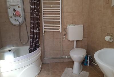 Vanzare garsoniera la curte, Stefan cel Mare Tunari, parter inalt, 65000 euro - 12