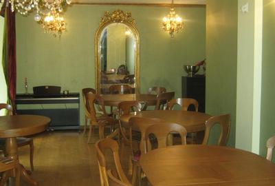 REV0005661 Vila renovata - zona Cismigiu - 3