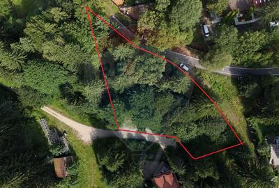 Teren 2000mp intravilan de vanzare in Poiana Brasov! Comision 0%! - 1